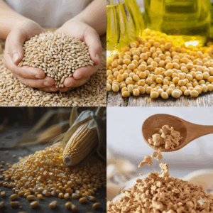 Gemini_Generated_Image_5ozrcd5ozrcd5ozr